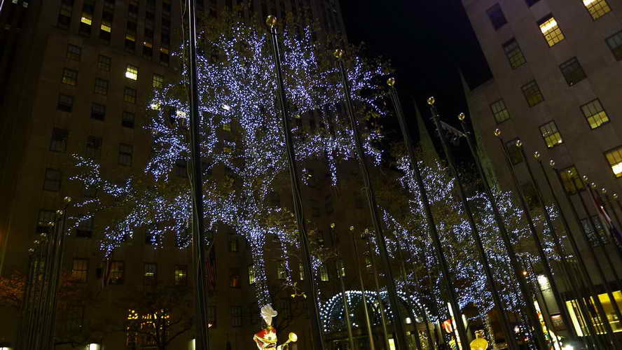 NYC_2017-11-23 22-13-29_P1140190